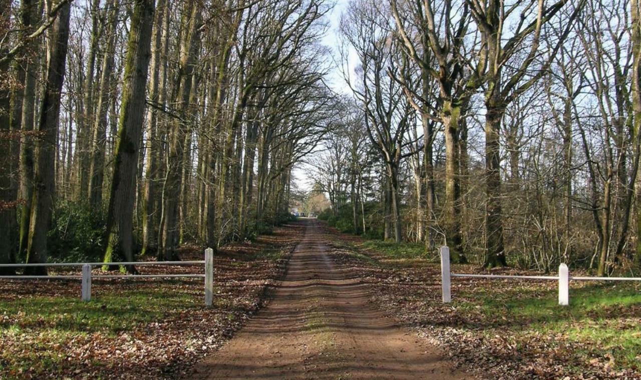 Domaine De La Haute-Porte Souvigné-sur-Sarthe 外观 照片