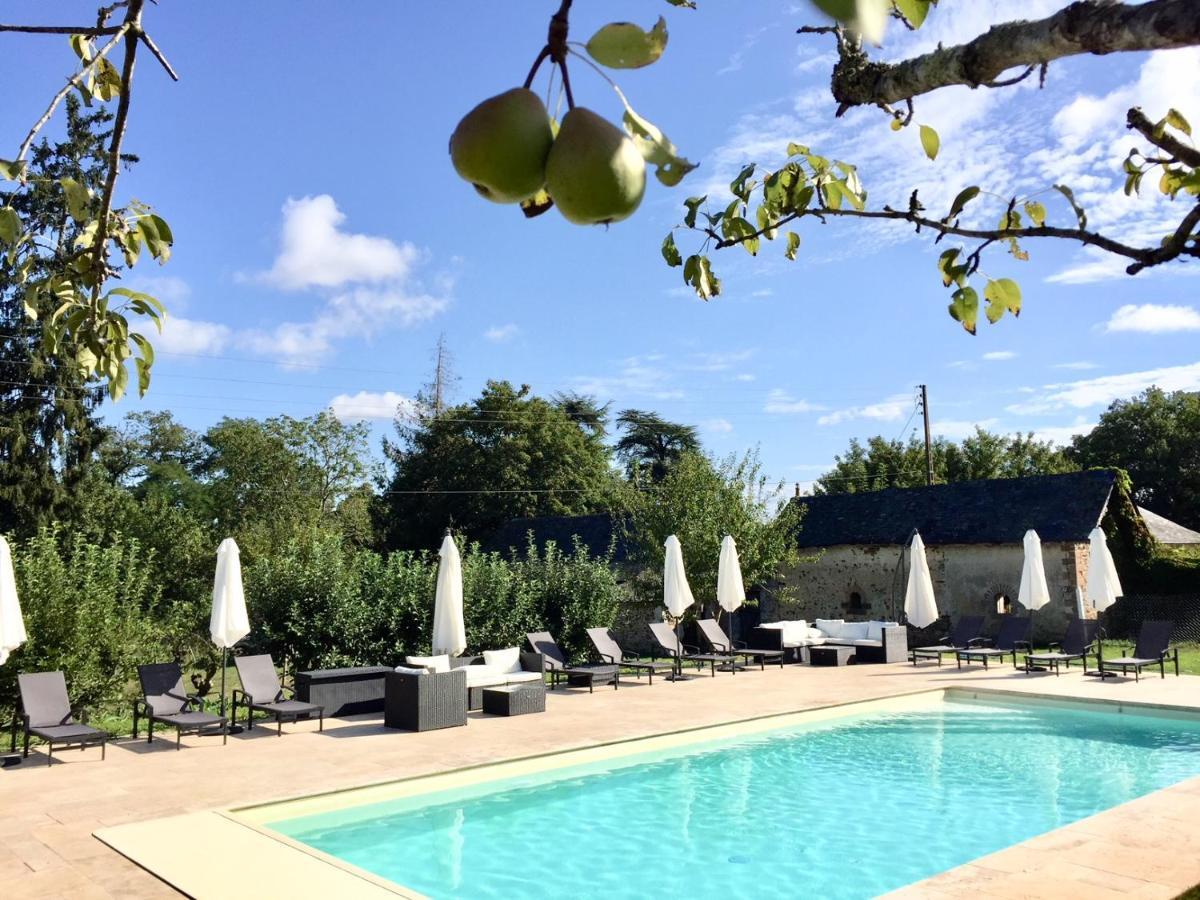 Domaine De La Haute-Porte Souvigné-sur-Sarthe 外观 照片
